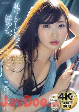 PRED-302 Studio PREMIUM  Wallowing In Shame, Sweat, And Body Fluids...Licking Instinct And Kissing Orgasms Kano Kashii