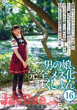 HERY-118 Studio YELLOW / Mousouzoku Ladyboy,The Complete Womanization Collection 16. Yuyu.