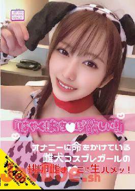 NNNC-010 Studio First Star Fast! I Want Ochi ? Po! The Ovulation Female Of The Bitch Cosplay Girl Who Is Giving Her Life To Masturbation. Mizuki Yayoi