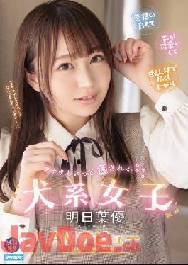 IPIT-031 Studio IDEA POCKET Dog Girl Who Will Surely Heal You, Ashitaba Yu AV Debut