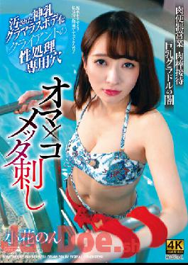 DDFF-022 Studio Dogma Oma X Cometta Stab Meat Urinal Business Meat Stick Entertainment Big Breasts Gravure Darkness Florets Non