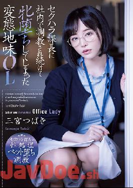 ADN-388 Uncensored Leak Studio Attackers A Perverted Sober OL Sannomiya Tsubaki Who Has Been Trained In-house By The Sexual Harassment Section Chief And Has Fallen Female