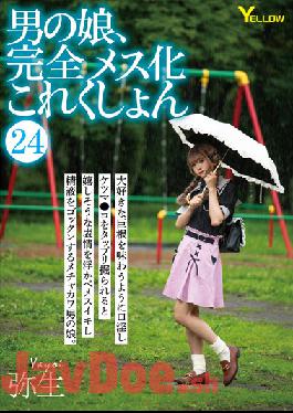 HERY-127 Studio Yellow / HERO Man's Daughter,Complete Female Collection 24 Yayoi