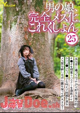 HERY-128 Studio Yellow / HERO Man's Daughter,Complete Female Collection 25 Ayasa