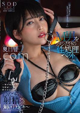 STARS-754 Studio SOD Create Hey,You'll Befriend Me,Right...?Training A Maso Man Into A Sexual Processing Pet Only For Me... -Hibiki,The Owner Who Loves Me With My Sassy Eyes And Keeps Ejaculating Until She Runs Out Of Sperm- Hibiki Natsume