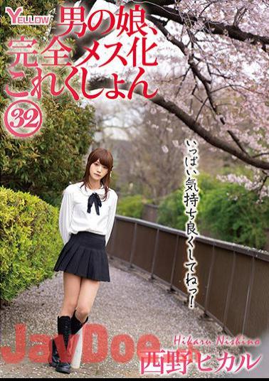 HERY-136 Man's Daughter, Complete Female Collection 32 Hikaru Nishino