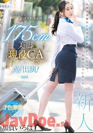 Uncensored PRED-494 175cm Beautiful Legs Active CA AV Appearance! Kaga Iroha