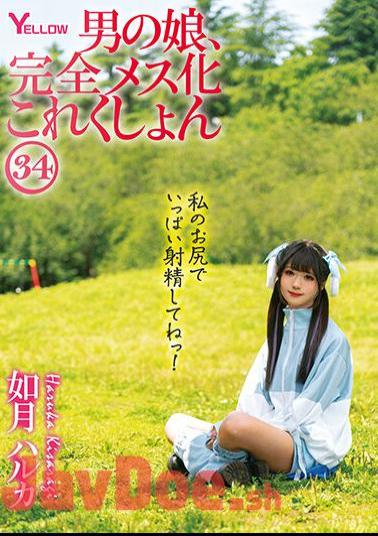 HERY-138 Man's Daughter, Complete Female Collection 34 Haruka Kisaragi