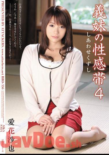 English Sub RBD-356 Aika Saya Erogenous Zone Of Four Sister-in-law Happy Break