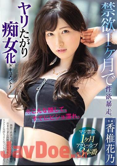 English Sub PRED-322 Abstinence 1 Month Sexuality, Greed, Violence, Running. Slut Document That Wants To Spear! Hanano Kashii