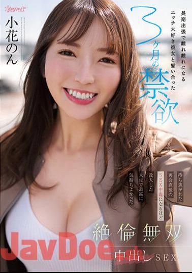Chinese Sub CAWD-575 I Became Separated On A Long Business Trip And Loved Sex.I Vowed To Be Abstinent For 3 Months.Immediately After A Long-awaited Reunion, I Was So Immersed In That I Became Addicted To SEX.