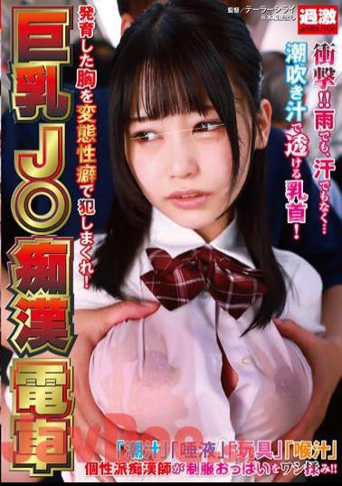 NHDTB-851 Big-breasted J Molester Train - Rape Her Grown Breasts With Perverted Fetishes!