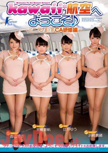 KAPD-026 Ed Training CA Big Mini Skirt - Welcome To Kawaii * Aviation -