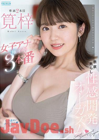 Chinese Sub PRED-535 Abstinence Teasing Sensual Development Orgasm 3 Extreme Orgasms Of Female Announcer Azusa Kakei