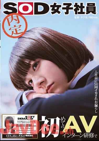 SDJS-246 An Unofficial SOD Female Employee Who Cums 51 Times And Pees Before Joining The Company During Her First AV Intern Training, Leaving The Office Covered In Ejaculation. The Lewd Top Intern Scheduled To Join The Company In 2024, Otoi Hasegawa (22) High Erotic Potential Task Sheet