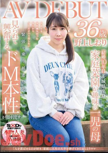 Mosaic SDNM-471 I Love Making People Happy Shiori Nogami, 36, A Gentle Mother Who Has Dedicated Most Of Her Life To Her Family, Makes Her AV Debut
