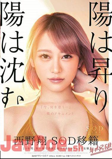 Mosaic STARS-113 The Sun Rises And The Sun Sinks Sho Sho Nishino Resigned Within The Year Retirement Within The Year 15 Years, Legendary Actress Who Has Been Active On The Front Line What Do You Think Now ... Naked Document