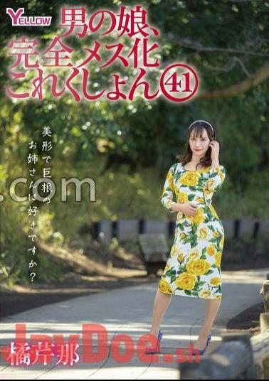 HERY-148 Male Daughter, Complete Female Collection 41 Tachibana Serina