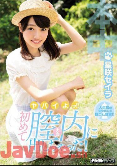 HND-434 This Is Crazy!! Cumming Inside Her For The First Time! Seira Hoshisaki