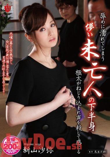 English sub HBAD-260 A Fickle Widow Gets Wet From Being Shamed And Tries Not to Wail When Getting Her Thick Lower-Half Screwed Saya Niyama