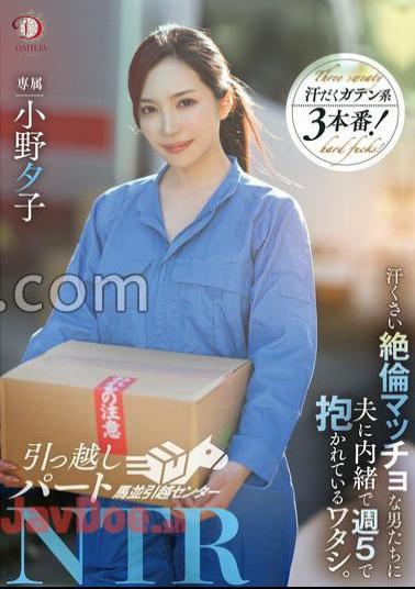 Mosaic DLDSS-346 Moving Part NTR: I'm Being Held By Sweaty, Macho Men Five Days A Week Without Telling My Husband.