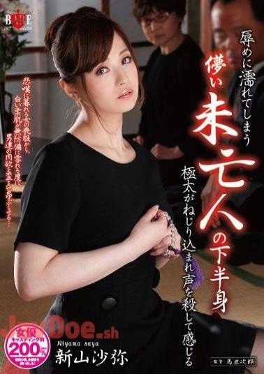 Mosaic HBAD-260 A Fickle Widow Gets Wet From Being Shamed And Tries Not to Wail When Getting Her Thick Lower-Half Screwed Saya Niyama