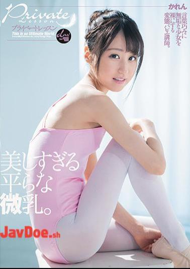 Mosaic DASD-701 Private Lesson Flat Milk That Is Too Beautiful. Karen