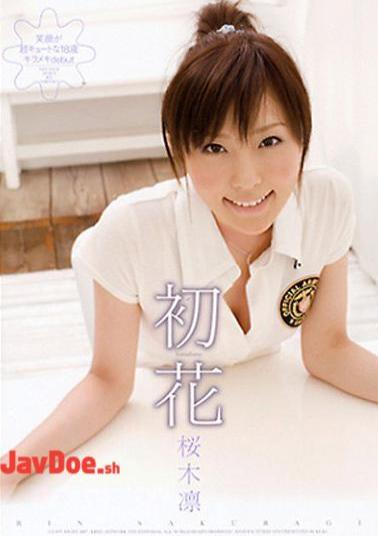 ADZ-081 Rin Sakuragi-hatsuhana-Hatsuhana