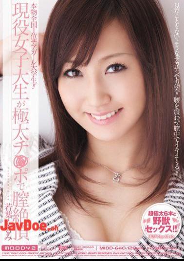 Mosaic MIDD-640 Wakaba Walnut Climax Vagina With Blood Thick Port Is Active College Student