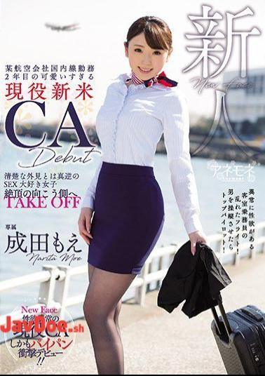 Mosaic KANE-005 A Certain Airline Company Domestic Work Second Year Too Cute Too Much Active Citizen CA CA Debut What Is Clean Appearance Is True SEX Love Girls To The Other Side Of The Cum Take Off Narita Moe