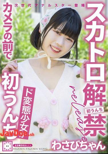 KEPA-030 Scat Ban Lifted Wasabi-chan, A Perverted Girl Poops In Front Of The Camera For The First Time
