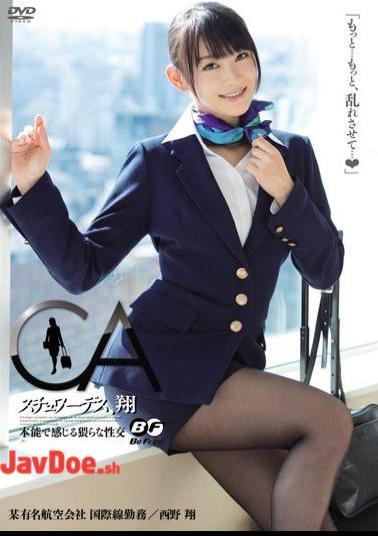 English Sub BF-240 Sho Nishino Et Al Intercourse 猥 Feel Stewardess, By Instinct Sho