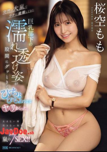 English Sub IPZZ-295 My Busty Subordinate Came To My House To Take Refuge During A Sudden Storm. Her Wet, See-through Figure Got Me So Excited I Ended Up Fucking Her While She Was Still Soaking Wet. Momo Sakura