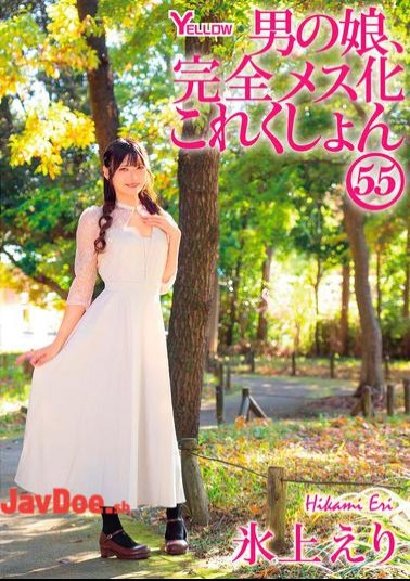 HERY-168 Boy's Daughter, Complete Feminization Collection 55 Hikami Eri