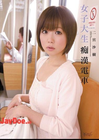Mosaic IPTD-791: Groping on a Train by Female College Student Sakura Nikaido
