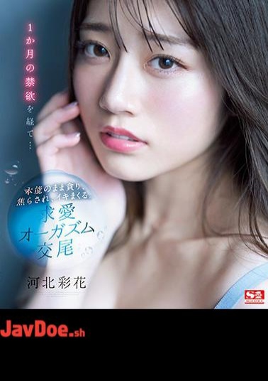 English Sub SSIS-361 After A Month Of Abstinence ... I'm Greedy, Impatient, And Spree With My Instinct. Courtship Orgasm Copulation Saika Kawakita (Blu-ray Disc)