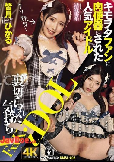 NMSL-032 A Flower And Two Men NTR Kitano Mina, A Beautiful Woman With A Past Just After Being Released From Prison